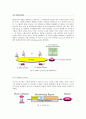 Internet Group Management Protocol 7페이지