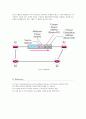 Internet Group Management Protocol 14페이지