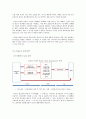 [비즈니스/경제] 글로벌spa zara와 uniqlo의 물류전략 분석 6페이지
