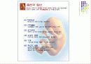 영양학 - 흡연과 음주 14페이지