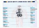 영양학 - 흡연과 음주 27페이지