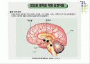 영양학 - 흡연과 음주 31페이지