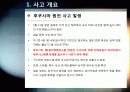 [후쿠시마원전사고]일본 후쿠시마 원전 사고 논란의 모든 것 - 사고 개요 및 경과 과정, 피해 현황, 사태악화의 원인 및 시사점 고찰 등 3페이지