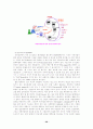 사이버空間上의 表現의 自由와 그 規制에 관한 硏究 41페이지
