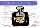 알코올중독 6페이지