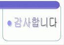알코올중독 45페이지