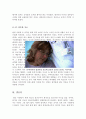 [올해최신A+자료]식코영화감상문[식코를통해 바라본 미국의 민간의료보험제도의실태][식코를보고나서][식코 영화감상문][영화 식코 감상][식코]식코 Sicko 식코 Sicko 줄거리, 식코 Sicko 영화 감상문, 식코 Sicko  7페이지