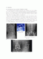spinal stenosis 정형외과 case study 4페이지