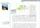 스위스베른-남아로벤섬-브라질리아 4페이지