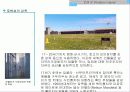 스위스베른-남아로벤섬-브라질리아 13페이지