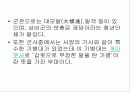 고구려의_통치구조와_행정 9페이지