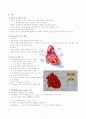 심장의 구조와 기능 2페이지
