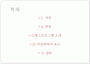 텔레비젼 프로그램 속의 여성비하에 대한 분석 2페이지