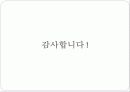 텔레비젼 프로그램 속의 여성비하에 대한 분석 14페이지