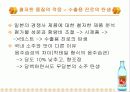 마케팅사례분석, 진로의 일본시장 진출마케팅전략, 해외진출 마케팅 성공사례, 해외진출 기업성공사례, SWOT분석, STMP분석 16페이지