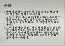 발해의+통치조직과+문화 11페이지