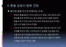 환율전쟁(최종) 21페이지