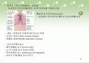 폐암(lung cancer)에 대하여  16페이지