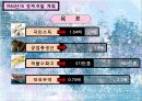 북한경제개발계획 17페이지