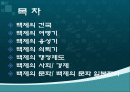 백제의+행정사 2페이지