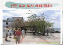 새로운 파포 16페이지