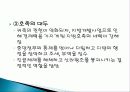 신라의+조직과+행정(수정) 34페이지