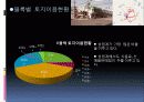 영암조PPT 10페이지