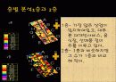 장흥군  장흥읍 건산리 5페이지