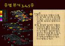 장흥군  장흥읍 건산리 6페이지