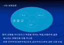 광고와전쟁과의연관성 6페이지