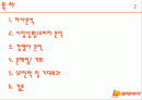 롯데리아 분석 문제점과 기회 SP전략 및 기대효과 2페이지