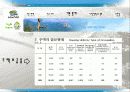 속초시 조사 8페이지