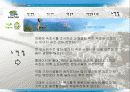 속초시 조사 17페이지