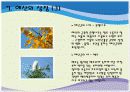 옛 숨결이 살아 있는 예산 25페이지