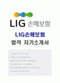 (2019년 LIG손해보험 자기소개서) LIG손해보험 공채 자기소개서 합격샘플 + 합격스펙/연봉 [LIG손해보험자기소개서 LIG손해보험자소서 합격샘플/LIG손해보험 자기소개서 지원동기/LIG손해보험채용정보 자소서]  1페이지