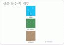 개체군 법칙 3페이지