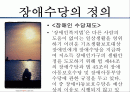 장애인 수당제도 개선방안 2페이지