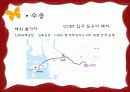 컨벤션 기획 제안서 15페이지