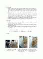 흡수율 시험 8페이지