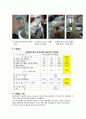 흡수율 시험 9페이지