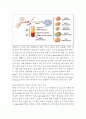 피는 답을 알고 있다(채영수) 2페이지