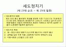 조선의 정치와 대외관계 36페이지
