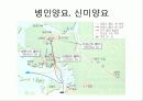 조선의 정치와 대외관계 44페이지