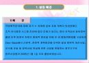 행정과+국민복리+방위사업청 3페이지
