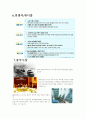 [국제경영전략론]노키아 마케팅전략 8페이지