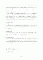 [국제경영전략론]디즈니랜드 사업전략  13페이지