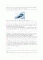 [국제경영전략론]페라리 자동차의 경영전략 분석 6페이지