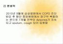 성인 COPD 최강ppt 9페이지