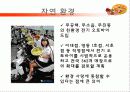 피자헛 vs 미스터피자 마케팅전략비교분석 27페이지