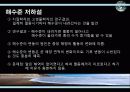 공룡의_멸종 14페이지